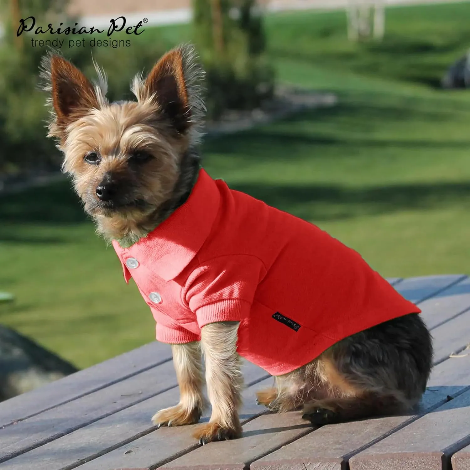 Parisian Pet Dog Polo Shirts - Breathable Cotton Shirts for Summer - Solid Red Color, Button-Up Collar - 2XL