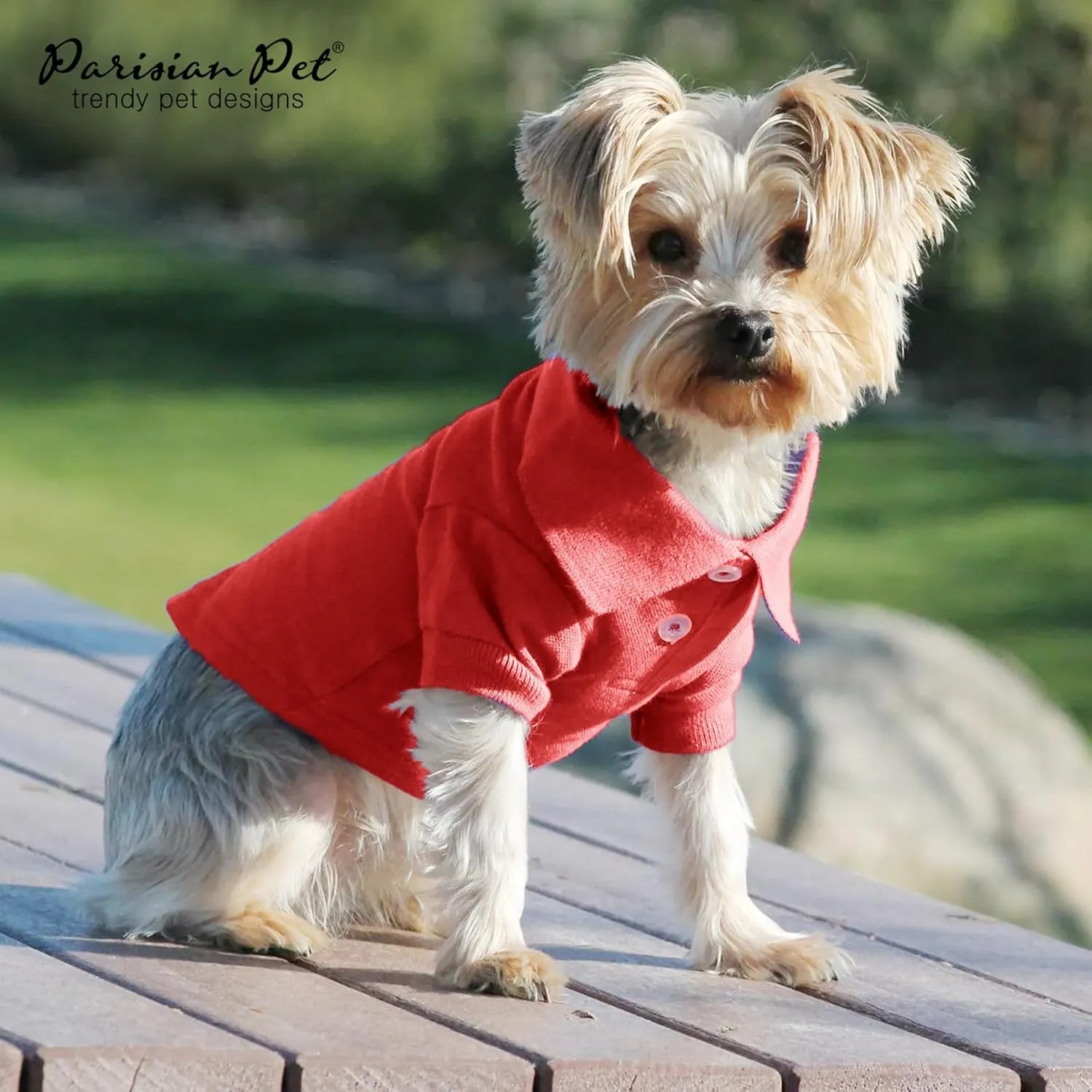 Parisian Pet Dog Polo Shirts - Breathable Cotton Shirts for Summer - Solid Red Color, Button-Up Collar - 2XL