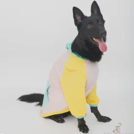 The Papaw Cartel Candy Floss Color Blocking Hoodie Tshirt for Dogs (Pink/Blue/Yellow)