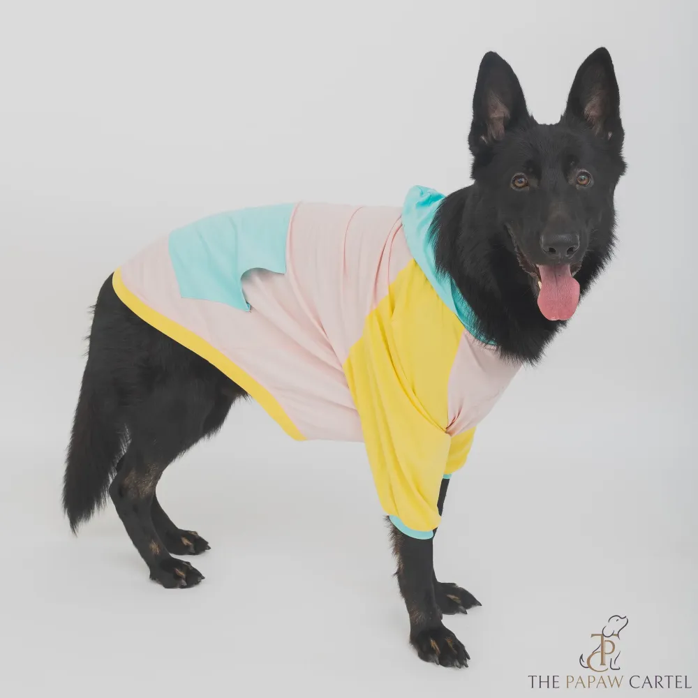 The Papaw Cartel Candy Floss Color Blocking Hoodie Tshirt for Dogs (Pink/Blue/Yellow)