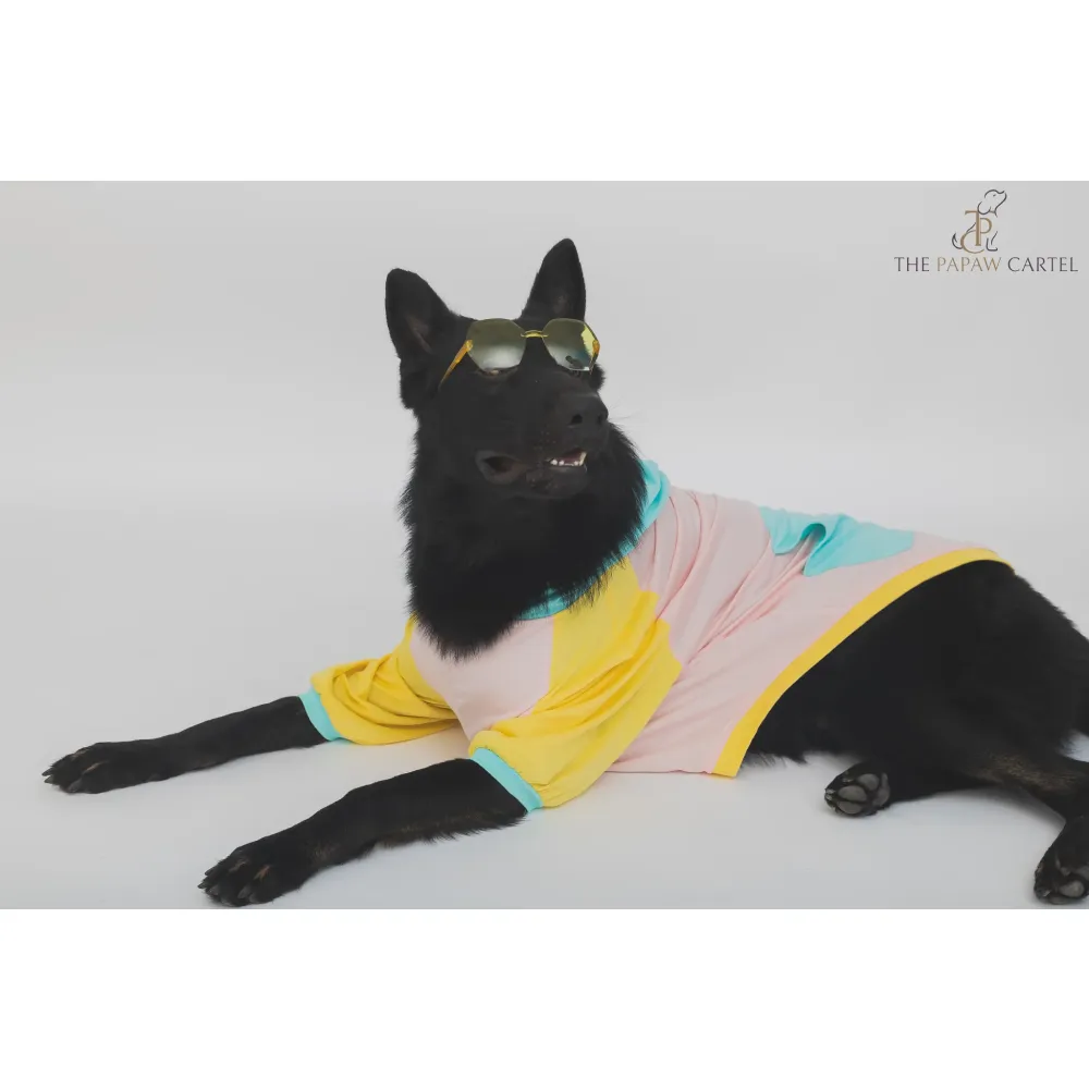 The Papaw Cartel Candy Floss Color Blocking Hoodie Tshirt for Dogs (Pink/Blue/Yellow)