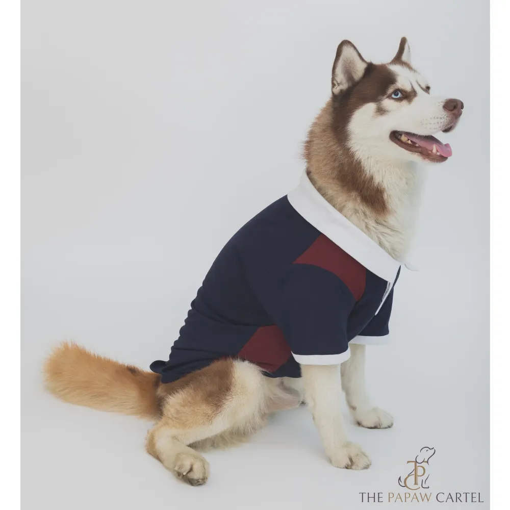 The Papaw Cartel Multi Color Golf Polo Tshirt for Dogs (Blue/Maroon)