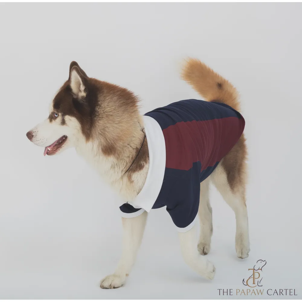The Papaw Cartel Multi Color Golf Polo Tshirt for Dogs (Blue/Maroon)